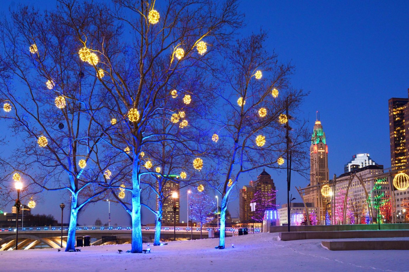 Tree Light Outdoor