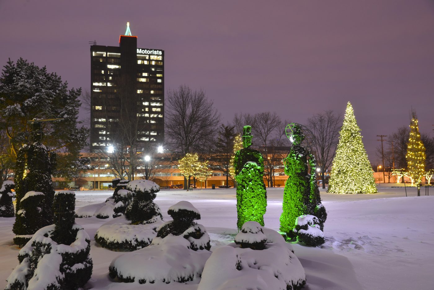 Garden Lights