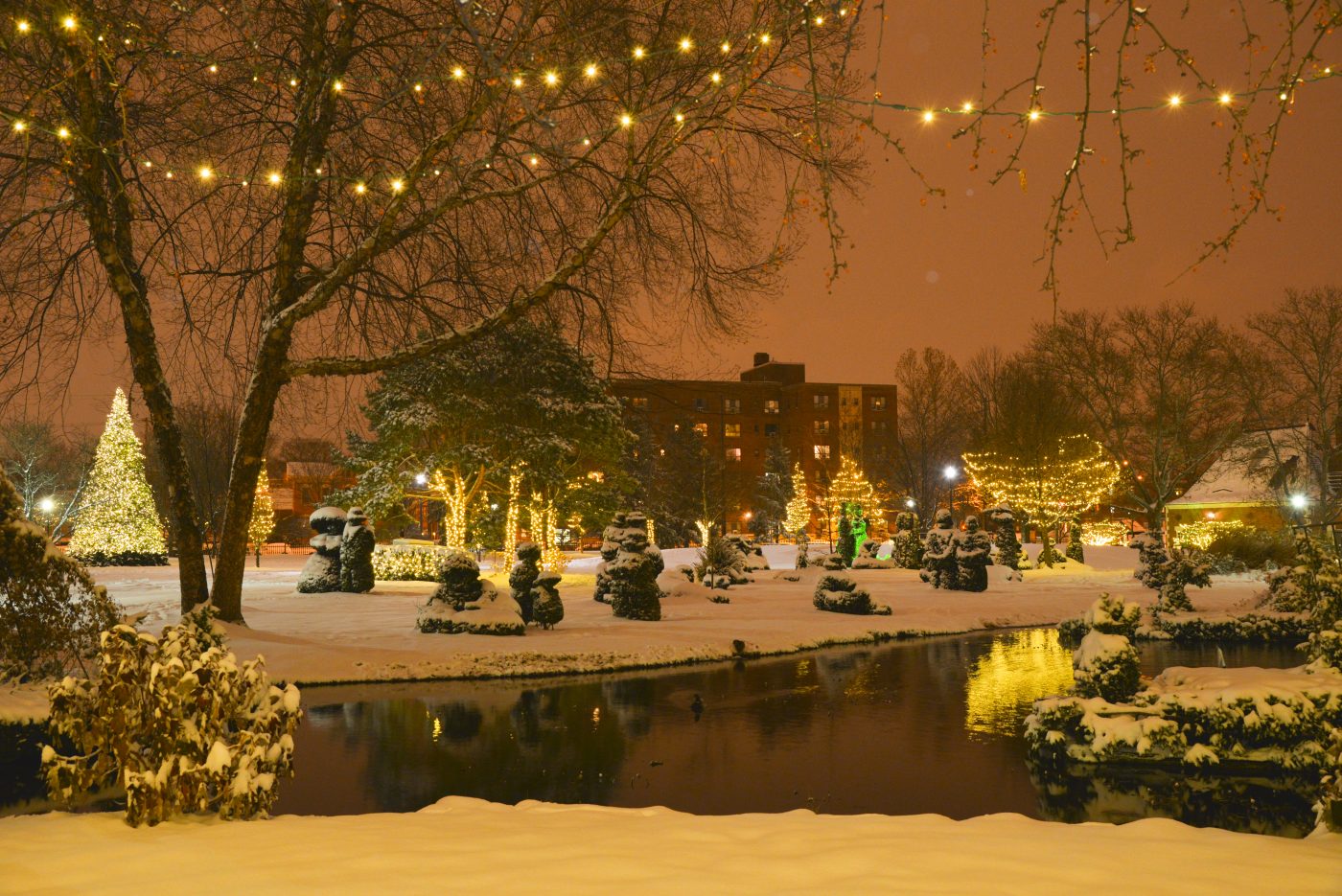 Outdoor Garden Lights