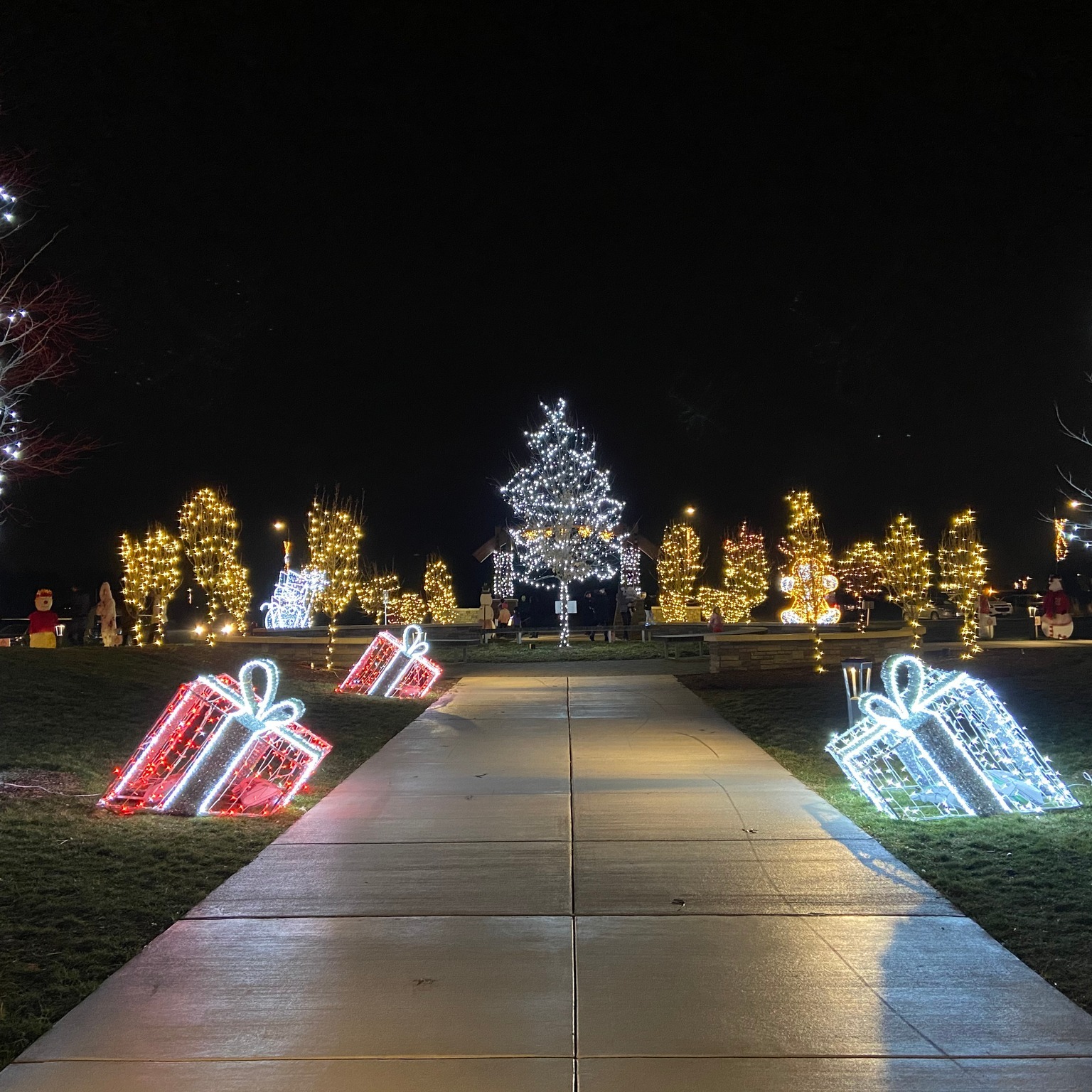 Outdoor Lights LED