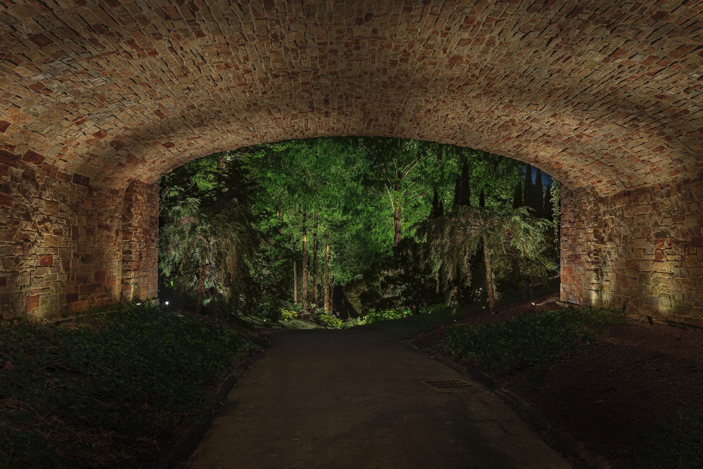 Symphony of Light — Bexley